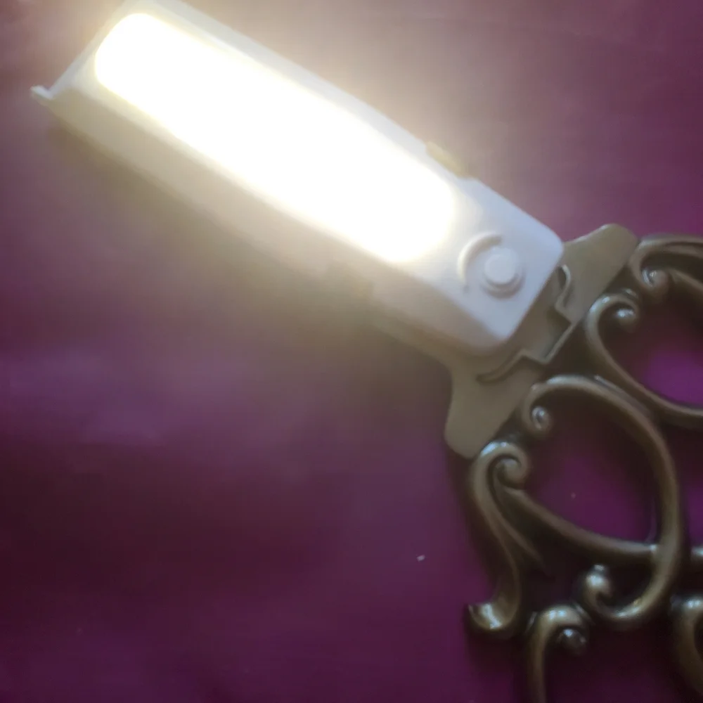 Gold Decorative Battery-Powered Wall Sconce
